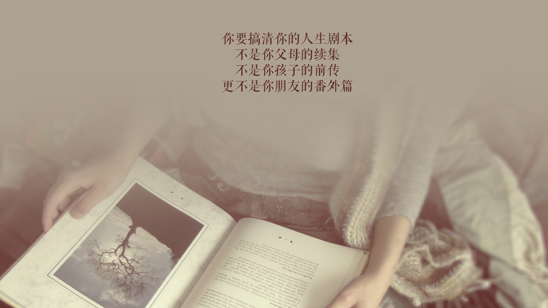 从梅阿查到开罗,当铁闸爆发遇上法老鏖战—现代足球的双面叙事