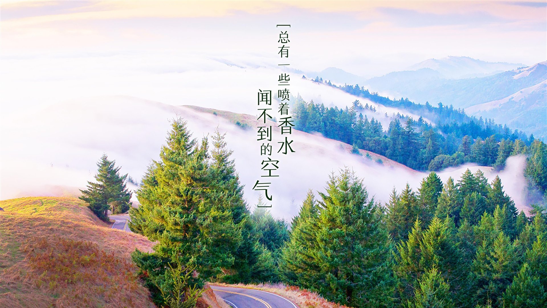 东方星火燎原亚平宁,当李刚仁成为意甲焦点之夜的终极密码