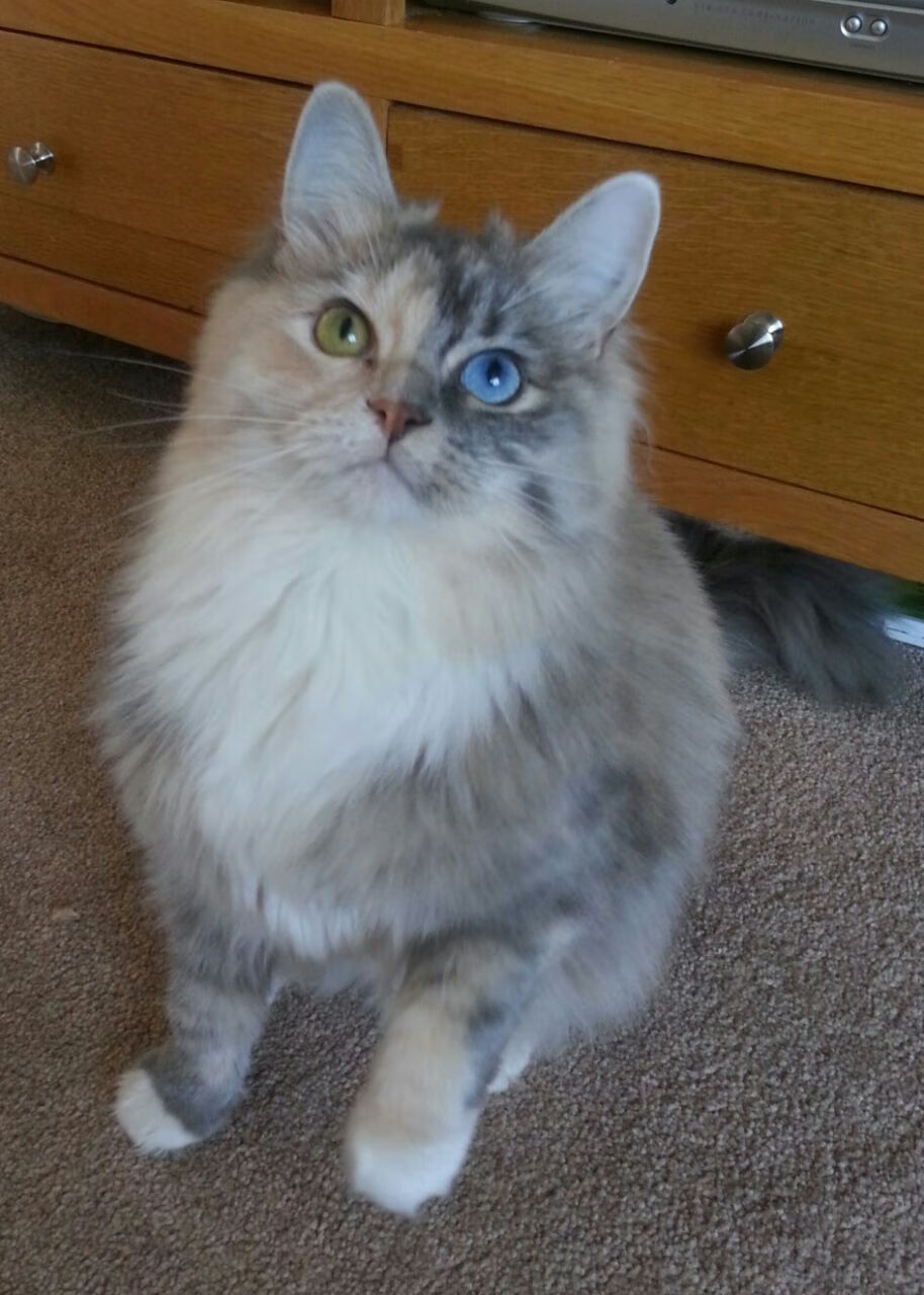 一次爆发与一场淘汰，足球的棱镜