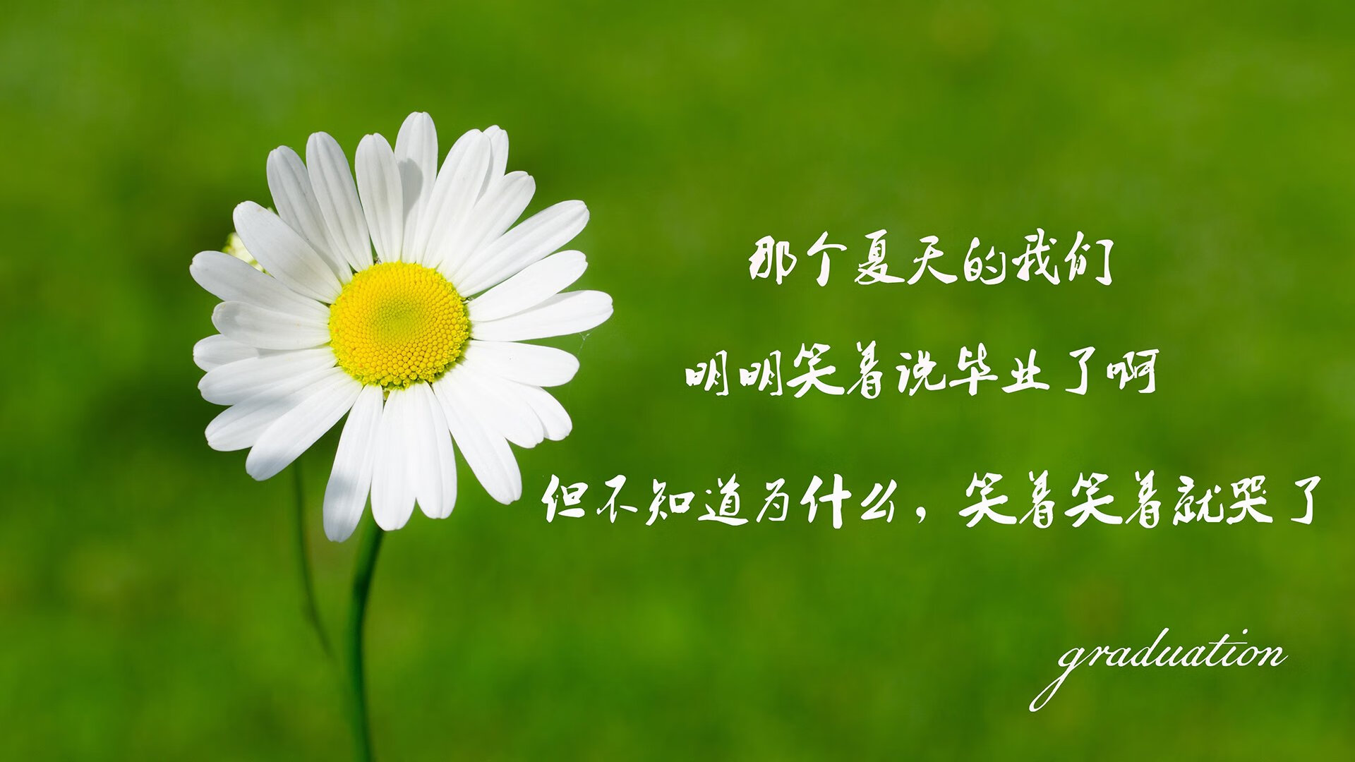 快船狂胜鹈鹕的夜晚,那个杜兰特式关键先生悄然诞生
