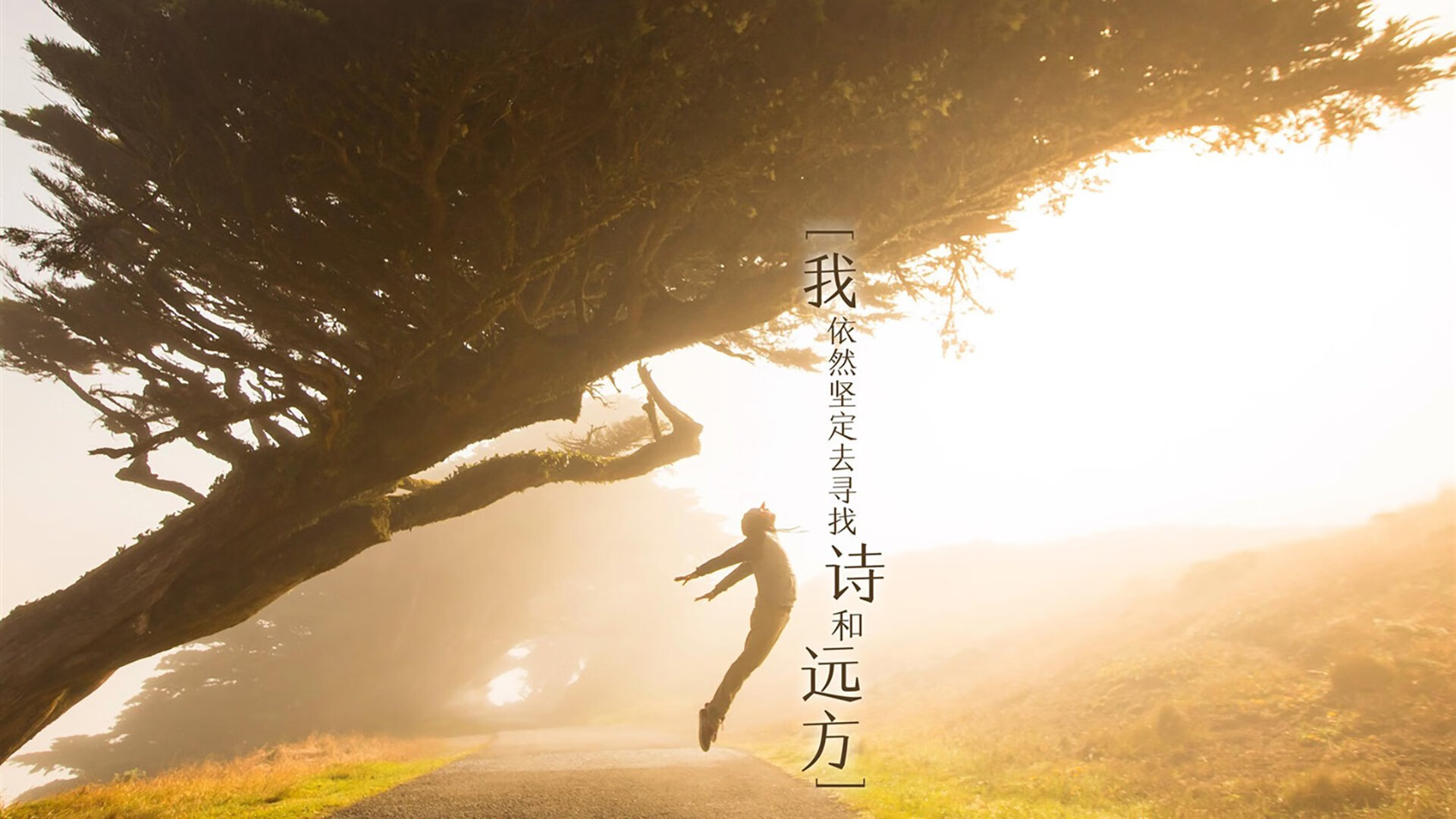 南美双雄的困兽斗与英伦暗器,2026世界杯C组唯一的破局方程式