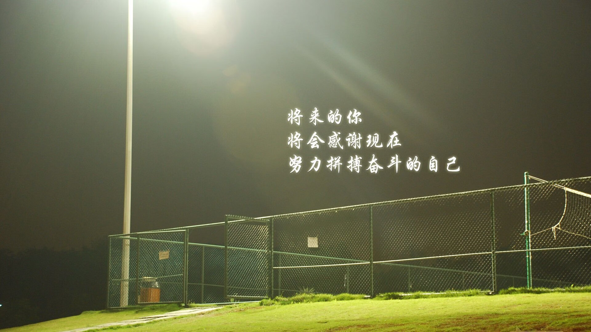 以下是为您创作的，符合要求的文章